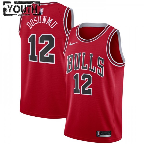 Chicago Bulls Trikot Ayo Dosunmu 12 Nike 2022-23 Icon Edition Rot Swingman - Kinder